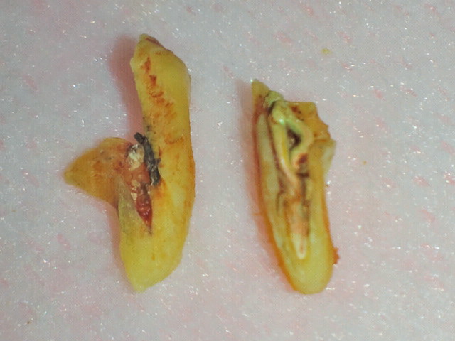 2011042211010000-6.jpg