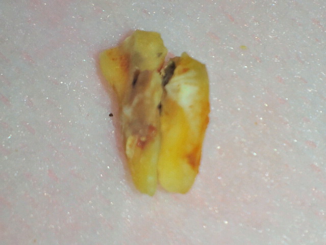 2011042211020000-6.jpg