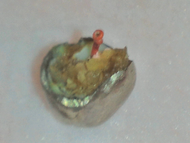 2011042310370000.jpg
