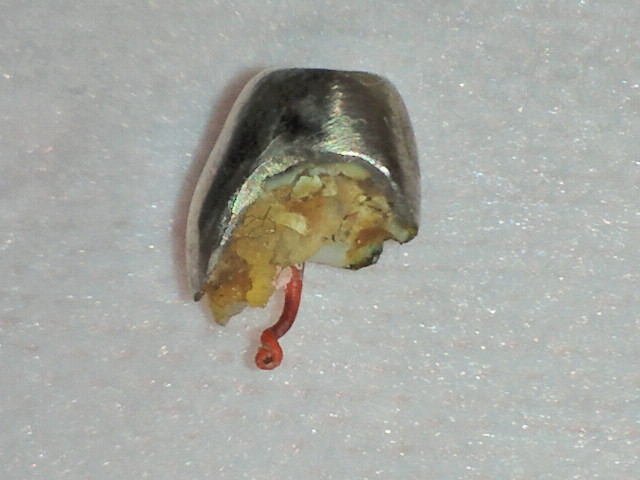 2011042311240000.jpg