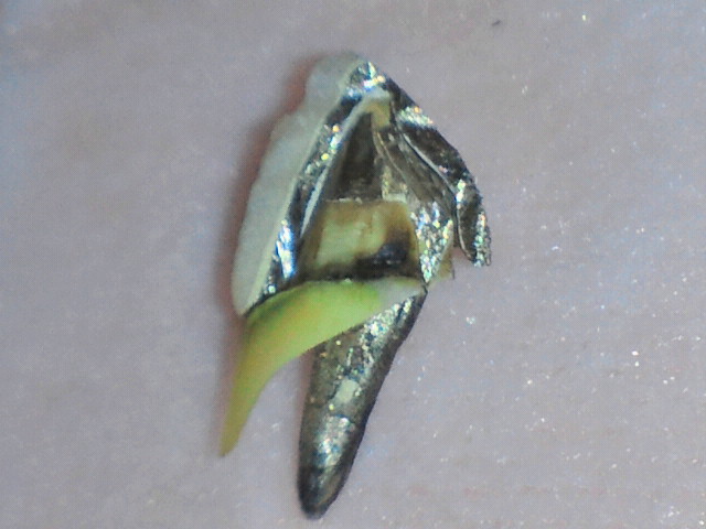 2011042818370000.jpg