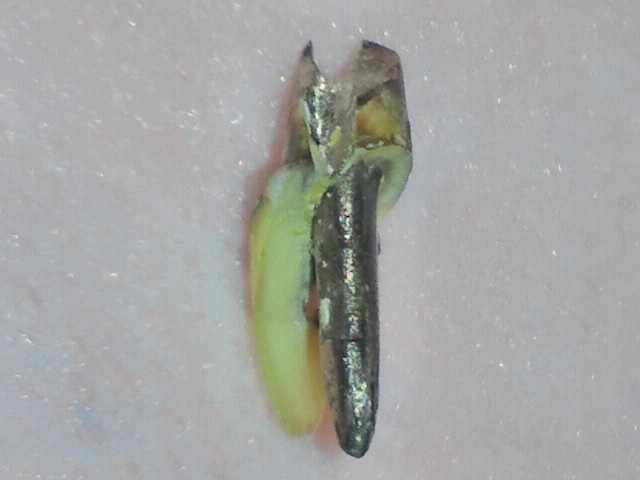 2011042818410000.jpg