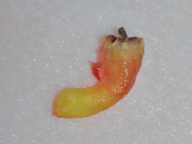 2011051118430000-1.jpg