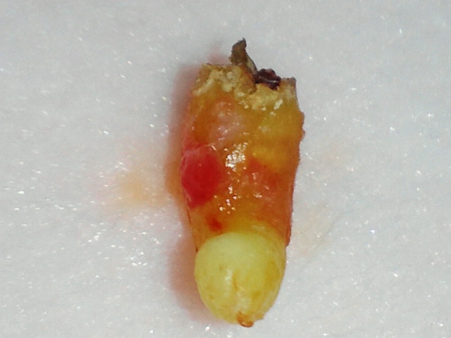 2011051118500000.jpg