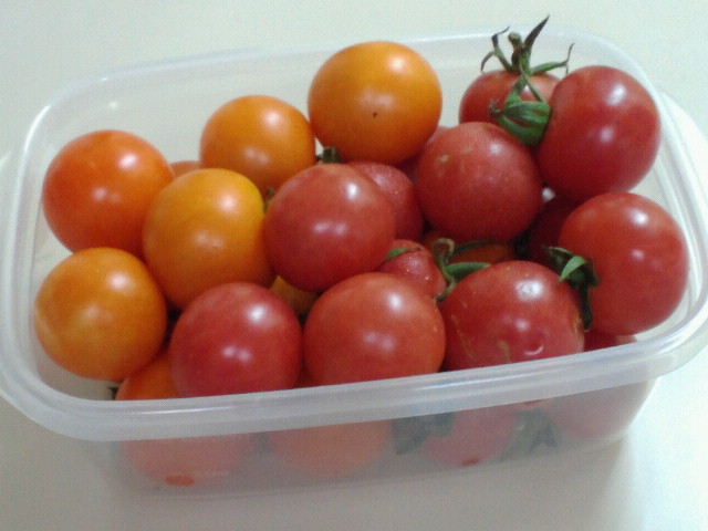 2011072313400000.jpg