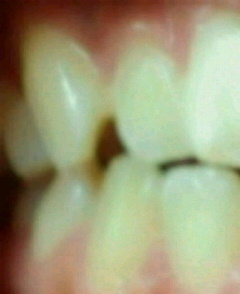 2012081520580000-5.jpg