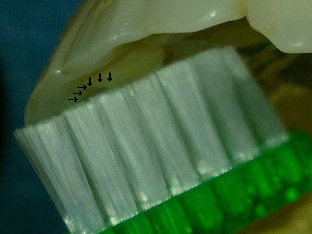 2012091021380000.jpg