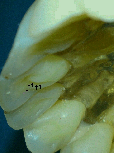 2012091021400000.jpg