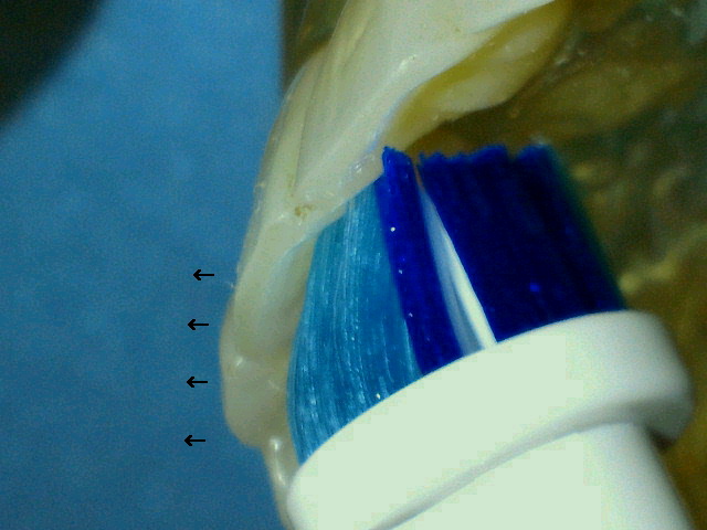 2012091021450000.jpg