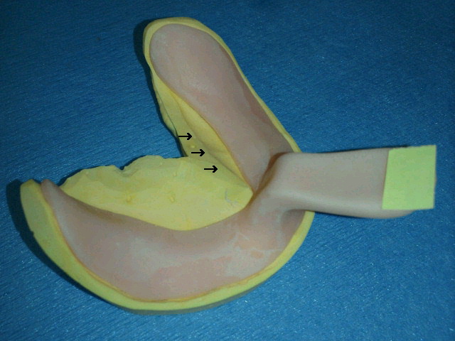 2012091221380000.jpg