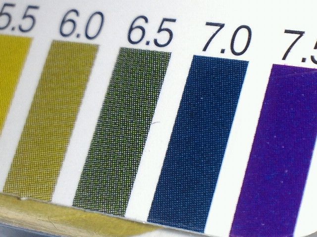 NEC_0003-3.jpg