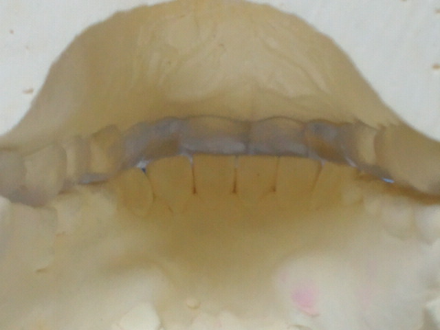 NEC_0015-2.jpg