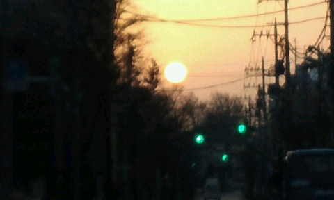 NEC_0016.jpg