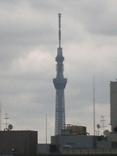 NEC_0020-1.jpg