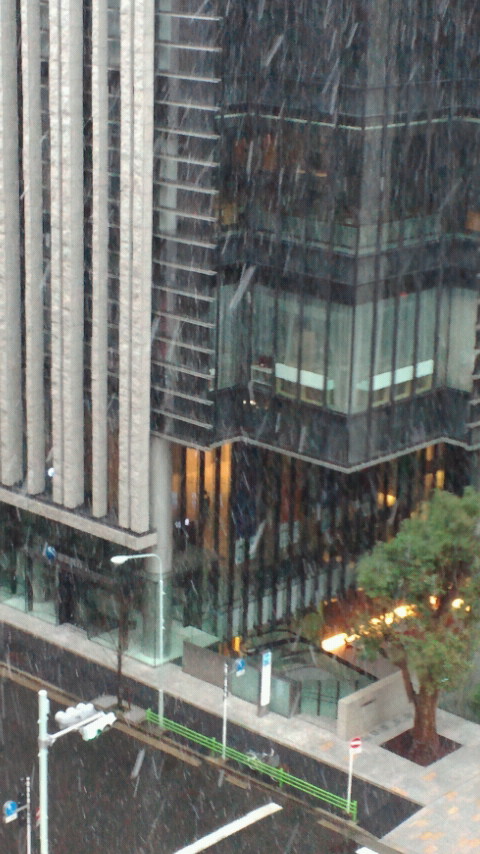 NEC_0020-3.jpg