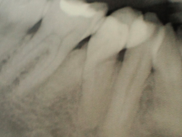 NEC_0027.jpg