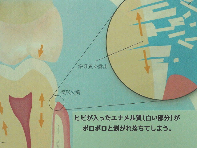 NEC_0046-1.jpg
