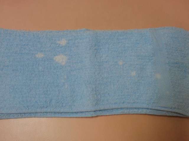 NEC_0046.jpg