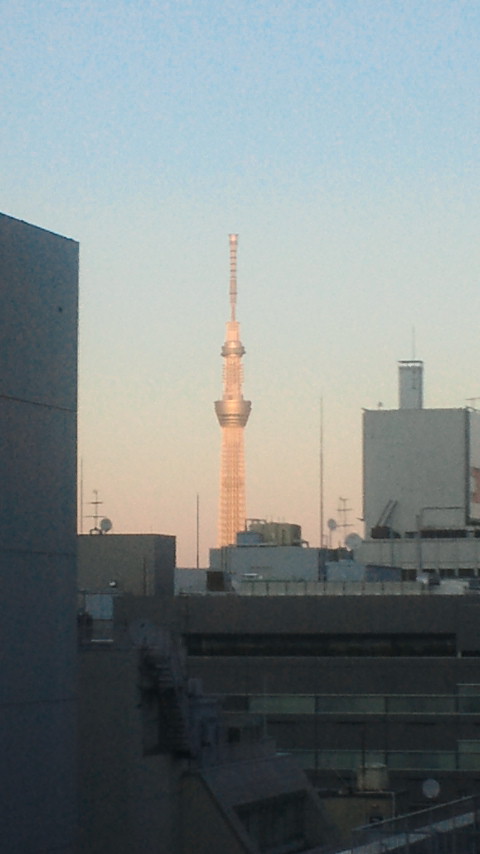 NEC_0055-1.jpg