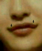 NEC_0070-1.jpg