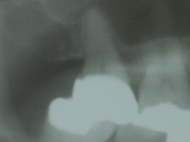 NEC_0073.jpg