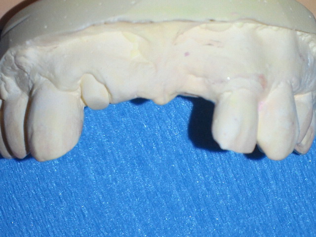 NEC_0074-2.jpg