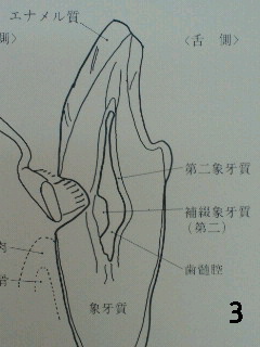 NEC_0074-3.jpg