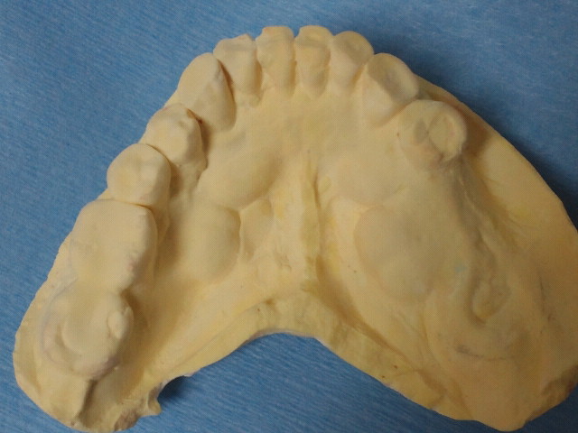 NEC_0077.jpg