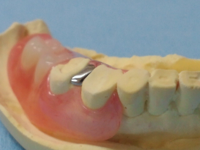 NEC_0081-1.jpg