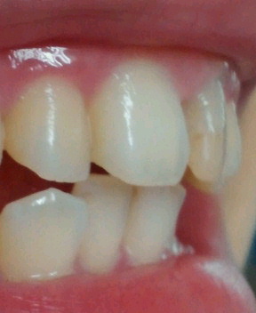 NEC_0087.jpg