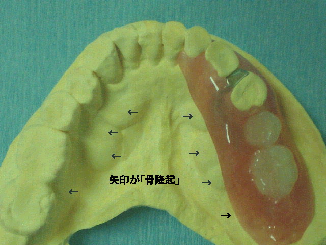 NEC_0094.jpg