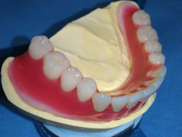 NEC_0099.jpg
