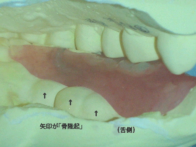 NEC_0100-1.jpg