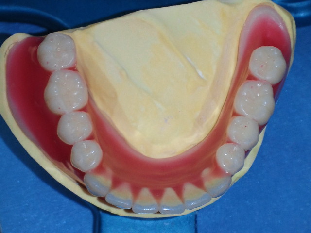NEC_0100.jpg