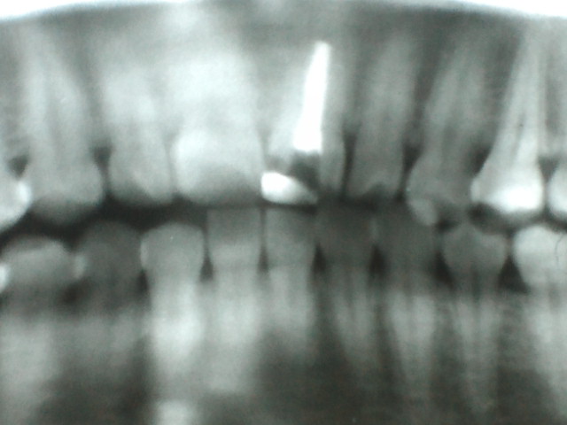 NEC_0121.jpg
