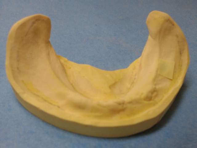 NEC_0129.jpg