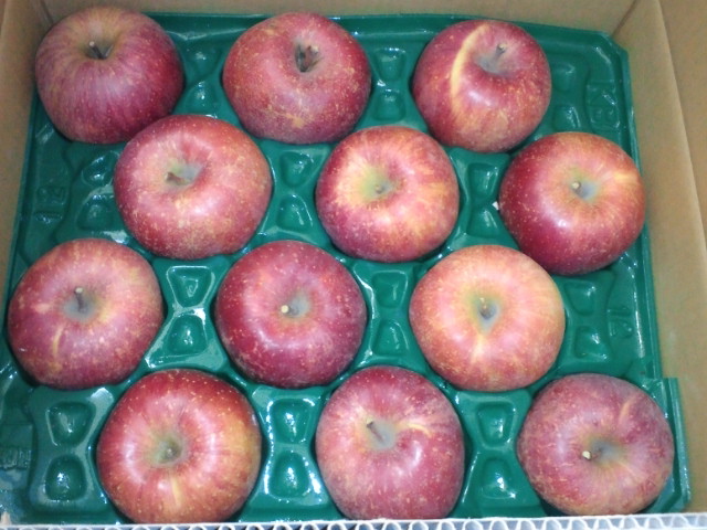 NEC_0134.jpg