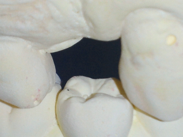 NEC_0148-1.jpg