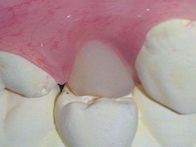 NEC_0149-1.jpg