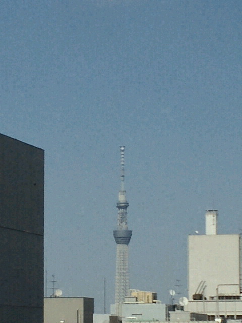 NEC_0158.jpg