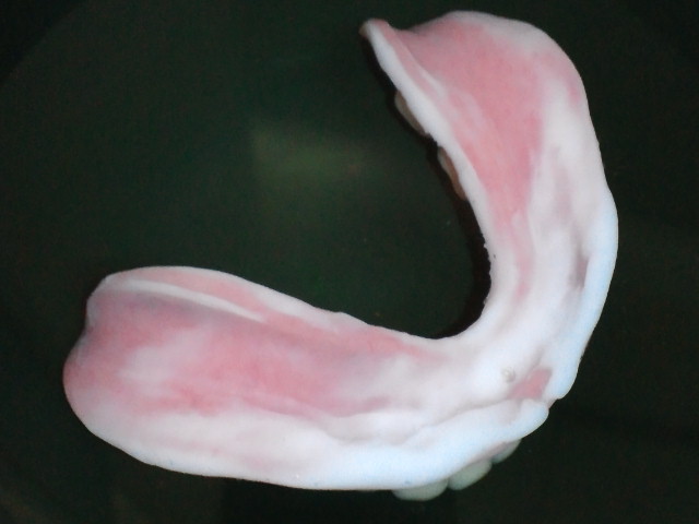 NEC_0161.jpg