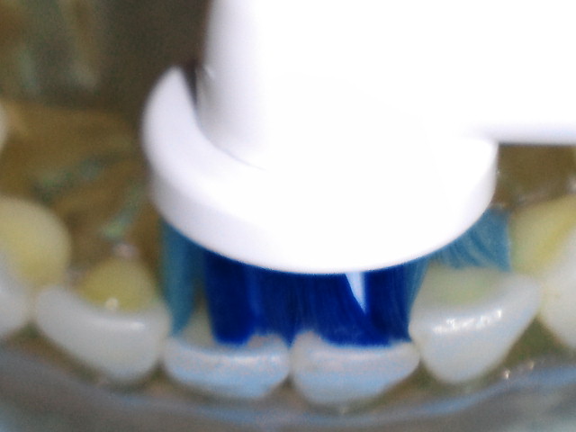 NEC_0171.jpg