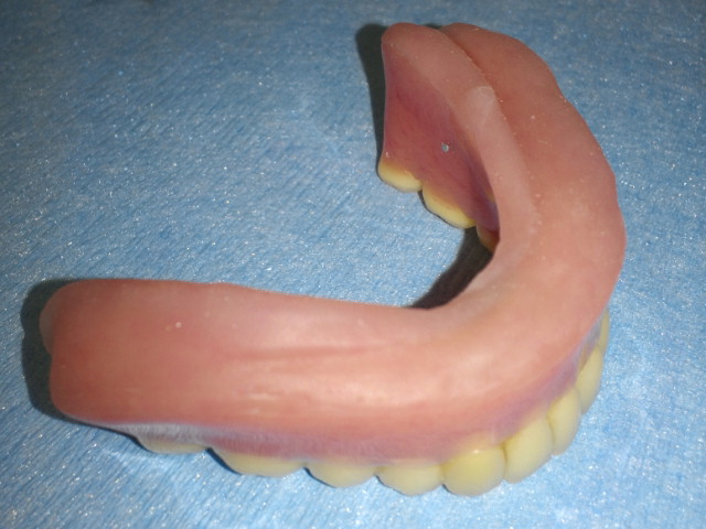 NEC_0192.jpg