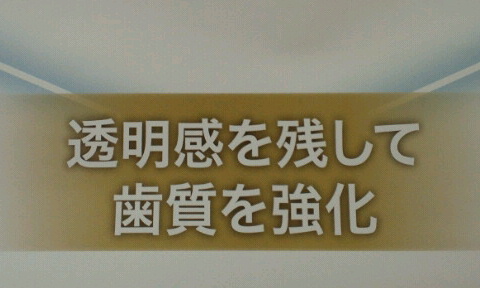 NEC_0197-2.jpg