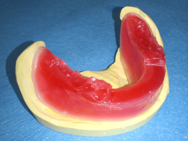 NEC_0197.jpg