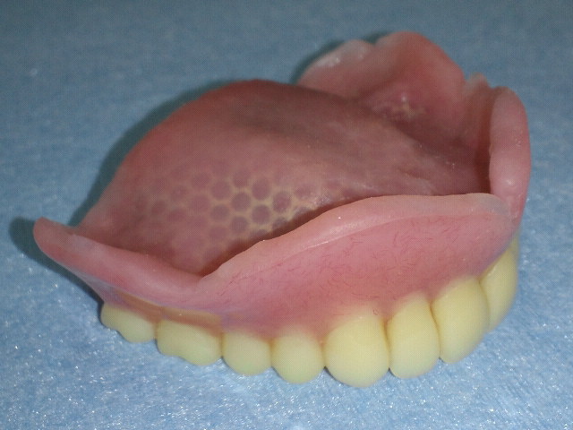 NEC_0254.jpg