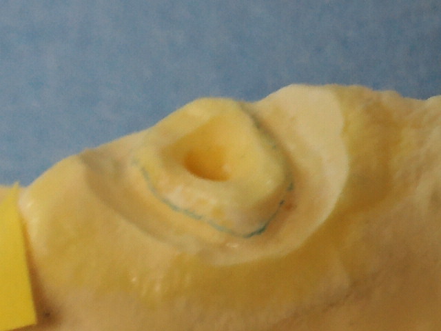 NEC_0296.jpg