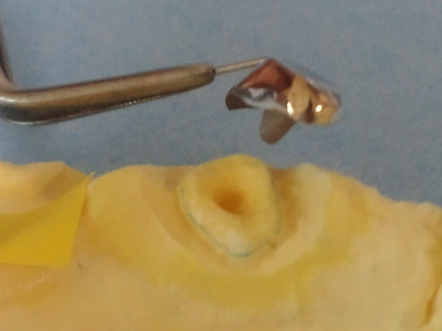 NEC_0298-1.jpg