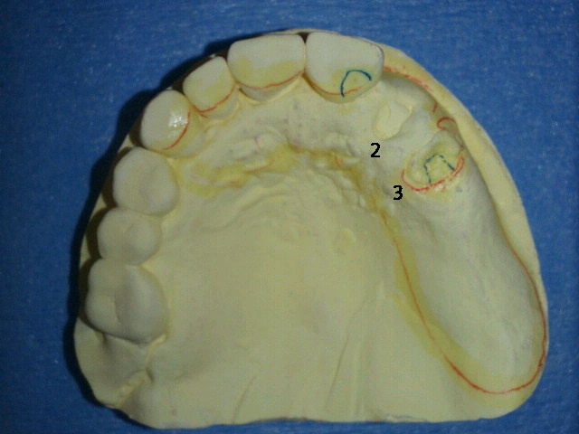 NEC_0298.jpg