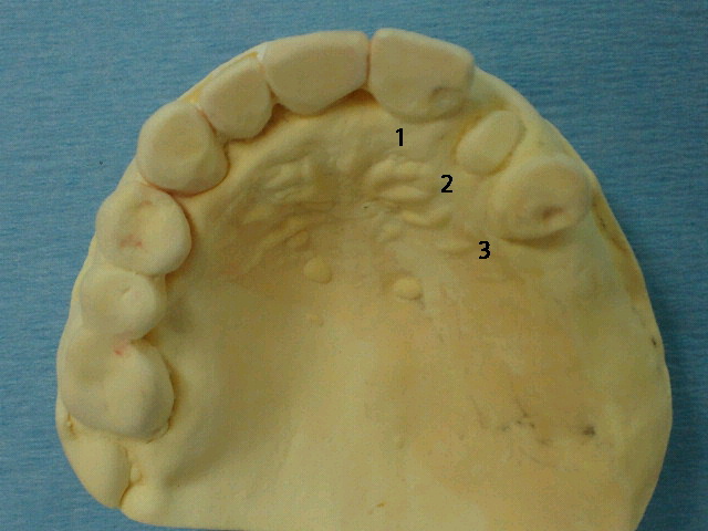 NEC_0302.jpg